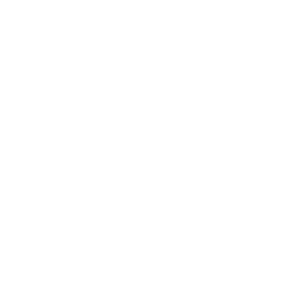 X-icon
